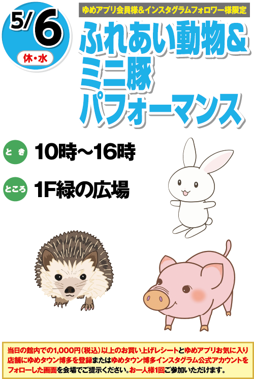 【ゆめアプリ会員様&インスタグラムフォロワー様限定】5/6(休・水) ふれあい動物&ミニ豚パフォーマンス とき:10時〜16時 ところ:1F緑の広場 当日の館内での1,000円(税込)以上のお買い上げレシートとゆめアプリお気に入り店舗にゆめタウン博多を登録した画面またはゆめタウン博多インスタグラム公式アカウントをフォローした画面を会場でご提示ください。お一人様1回ご参加いただけます。