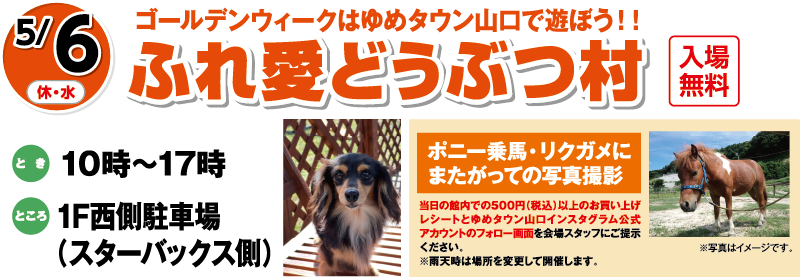 5/6(休・水)ゴールデンウィークはゆめタウン山口で遊ぼう！！「ふれ愛どうぶつ村」入場無料　とき：10時～17時　ところ：1F西側駐車場（スターバックス側） [ポニー乗馬・リクガメにまたがっての写真撮影]当日の館内での500円（税込）以上のお買い上げレシートとゆめタウン山口インスタグラム公式アカウントのフォロー画面を会場スタッフにご提示ください。※雨天時は場所を変更して開催します。