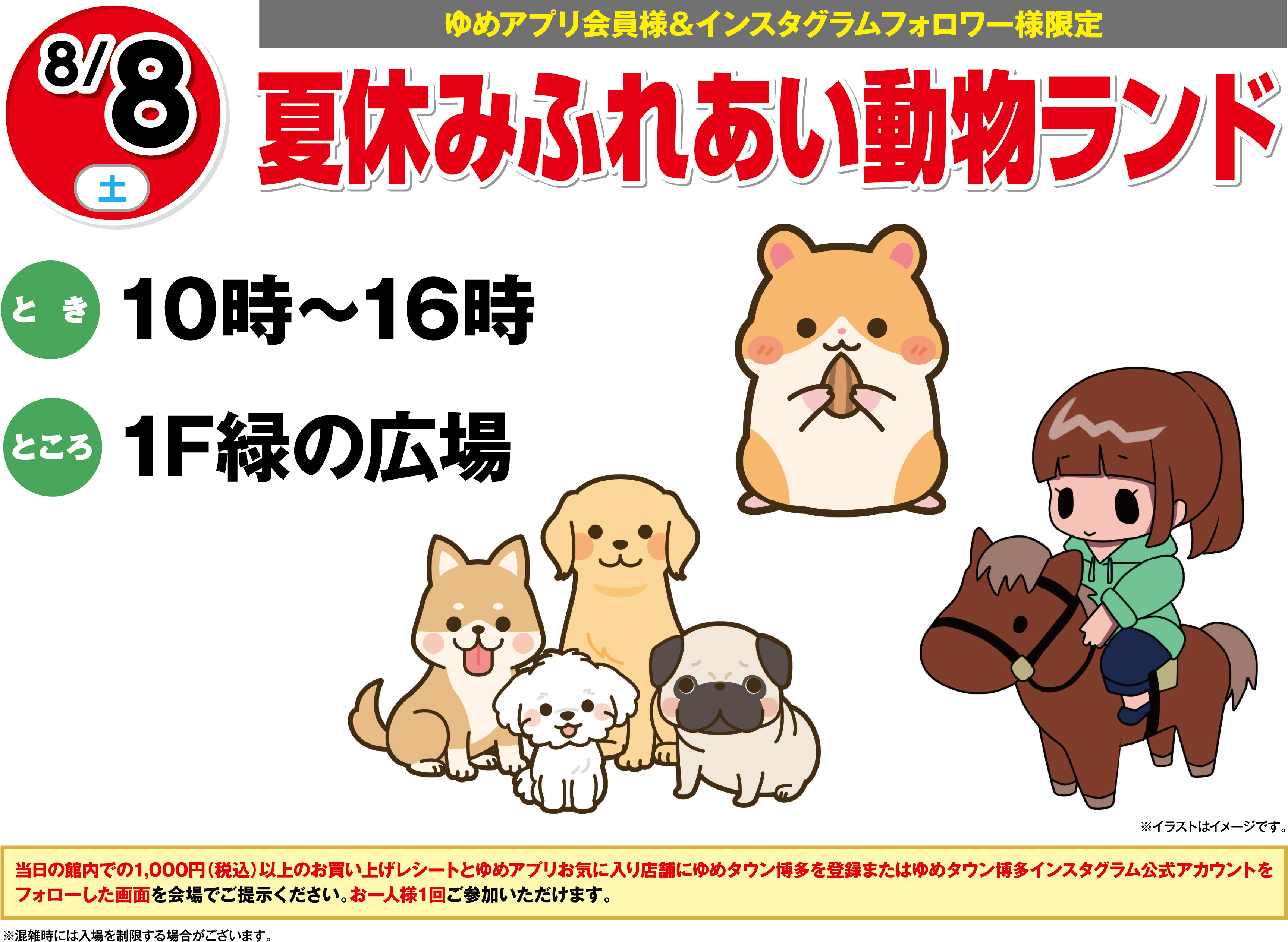 【ゆめアプリ会員様＆インスタグラムフォロワー様限定】8月8日(土曜日) 夏休みふれあい動物ランド とき 10時～16時 ところ 1F緑の広場