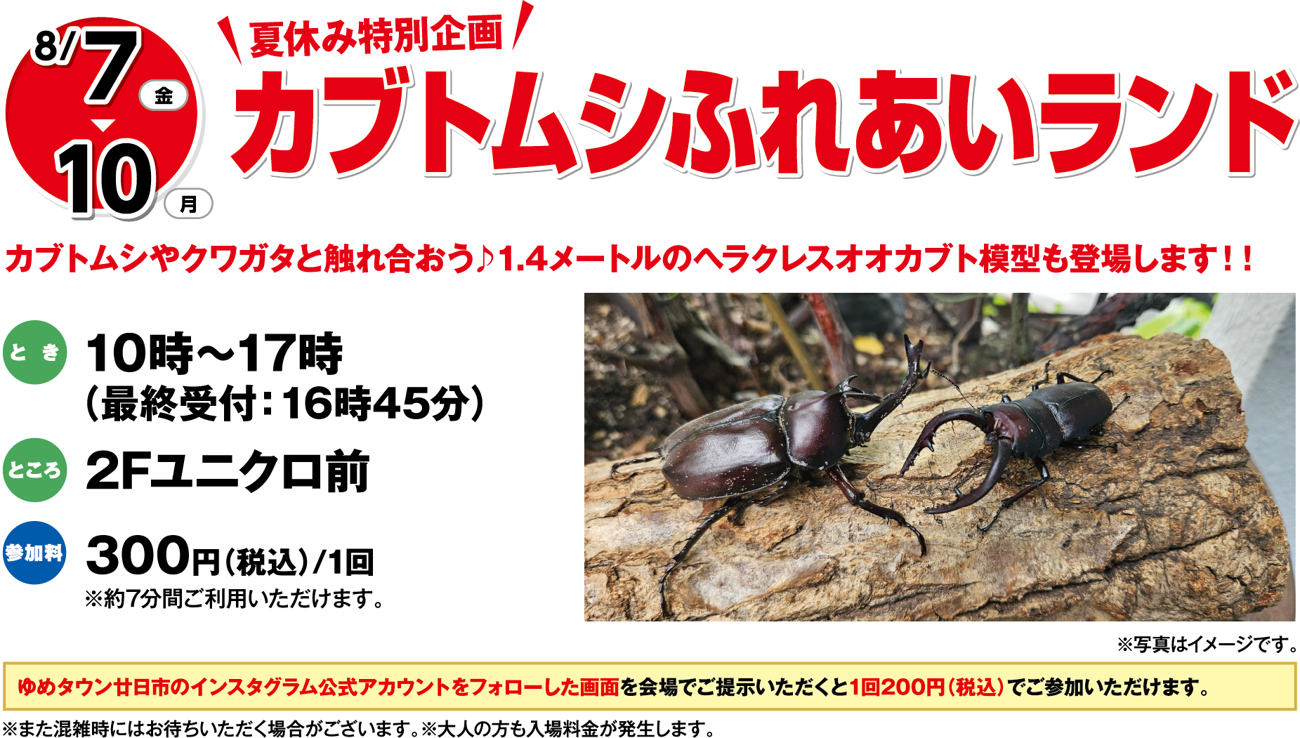 8月7日(金曜日)～10日(月曜日) 夏休み特別企画 カブトムシふれあいランド カブトムシやクワガタと触れ合おう♪1.4メートルのヘラクレスオオカブト模型も登場します！！ とき 10時～17時(最終受付：16時45分) ところ 2Fユニクロ前 参加料 300円（税込）/1回 ※約7分間ご利用いただけます。 ※また混雑時にはお待ちいただく場合がございます。※大人の方も入場料金が発生します。