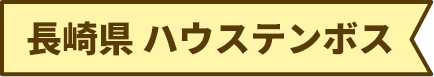 長崎県 ハウステンボス