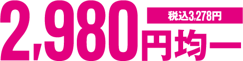 2980円均一(税込3,278円)