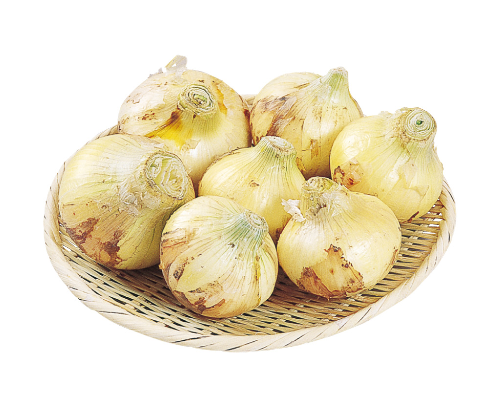 新玉ねぎ