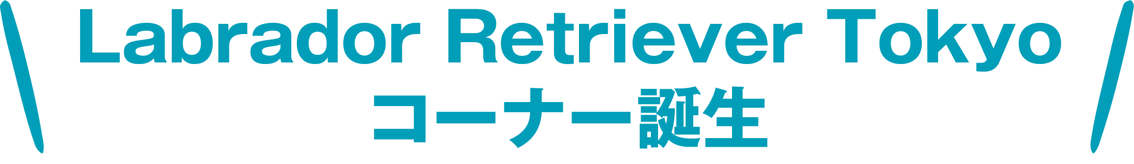 Labrador Retriever Tokyo コーナー誕生