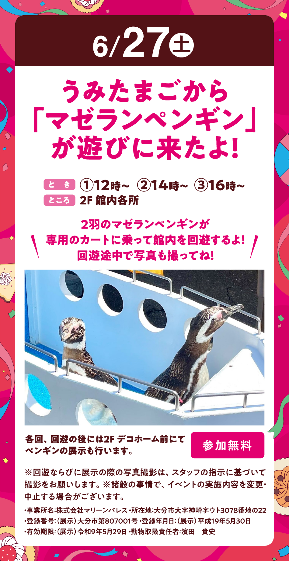 6月27日(土曜日) うみたまごから「マゼランペンギン」が遊びに来たよ！ [とき]①12時～②14時～③16時～ [ところ]2F 館内各所 2羽のマゼランペンギンが専用のカートに乗って館内を回遊するよ！回遊途中で写真も撮ってね！ 各回、回遊の後には2F デコホーム前にてペンギンの展示も行います。[参加無料] ※回遊ならびに展示の際の写真撮影は、スタッフの指示に基づいて撮影をお願いします。※諸般の事情で、イベントの実施内容を変更・中止する場合がございます。・事業所名：株式会社マリーンパレス ・所在地：大分市大字神崎字ウト3078番地の22・登録番号：（展示）大分市第807001号 ・登録年月日：（展示）平成19年5月30日・有効期限：（展示）令和9年5月29日 ・動物取扱責任者：濱田　貴史