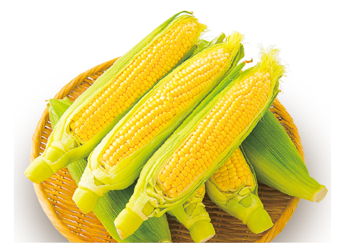 とうもろこし