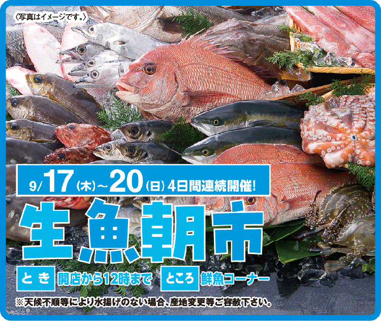 9月17日(木曜日)～20日(日曜日)4日間連続開催！生魚朝市　※天候不順により水揚げのない場合、産地変更等ご容赦下さい。※写真はイメージです