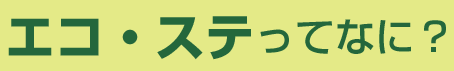 エコ・ステってなに？