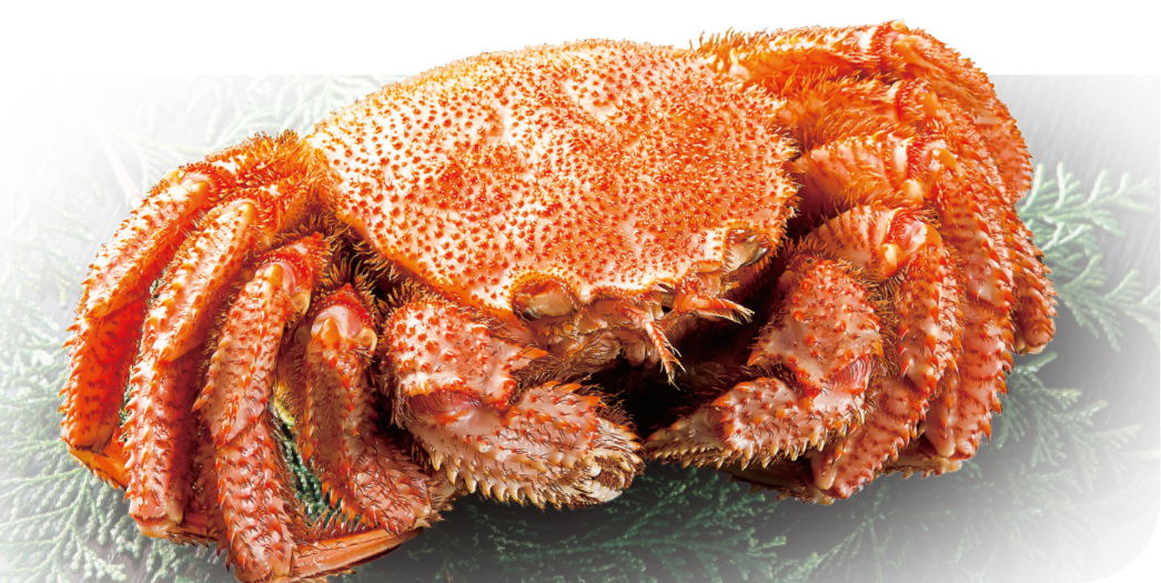 浜茹で毛がに〈生食用〉