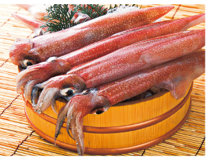 やりいか(解凍)