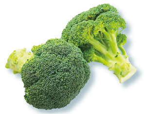ブロッコリー