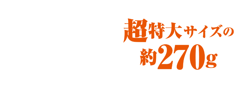超特大サイズの約270g