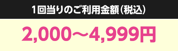 1回当りのご利用金額(税込) 2,000~4,999円