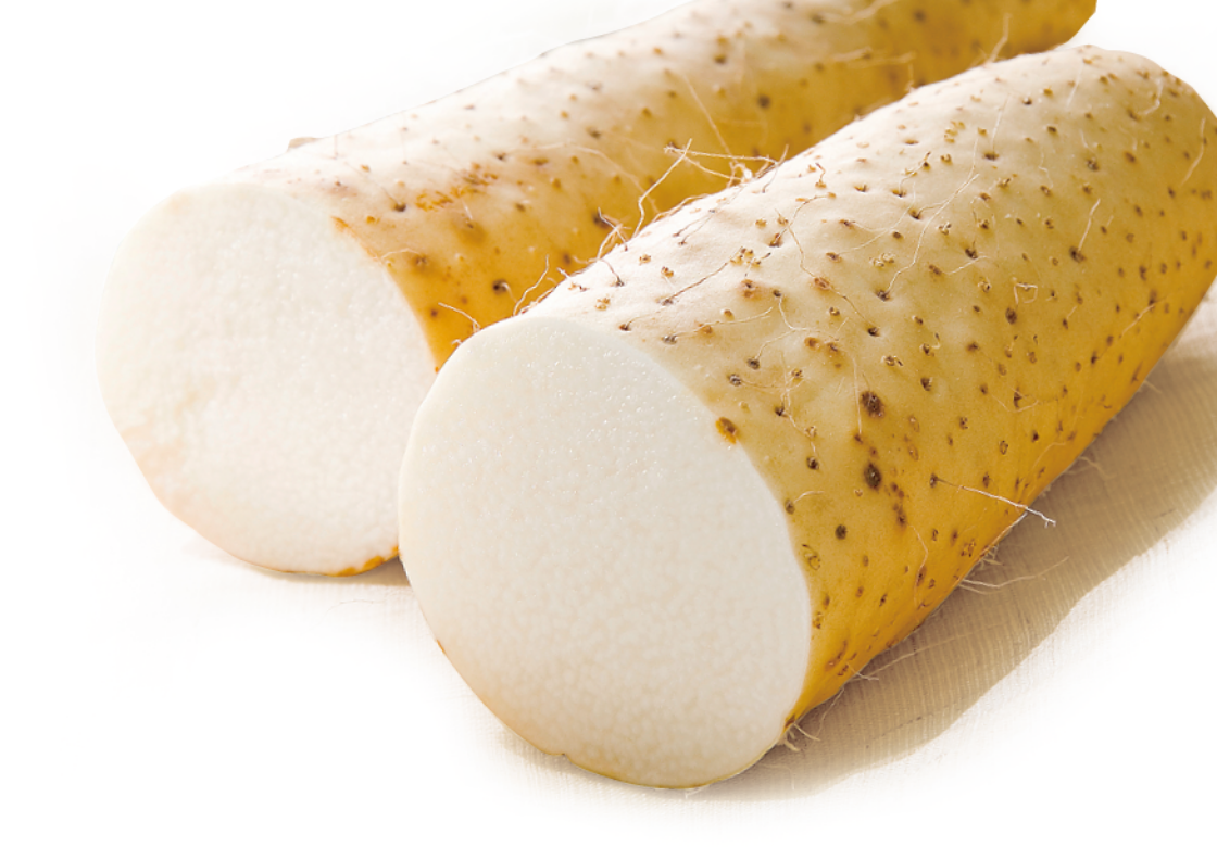 北海道産など 長いも