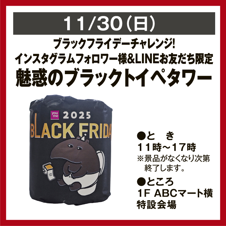 ブラックフライデーチャレンジ！ インスタグラムフォロワー様＆LINEお