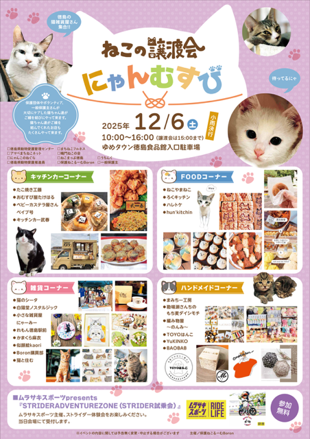 ねこ@おまとめ歓迎  保護ねこるーむBoron 主催 ねこ譲渡会「にゃんむすび」｜イベント