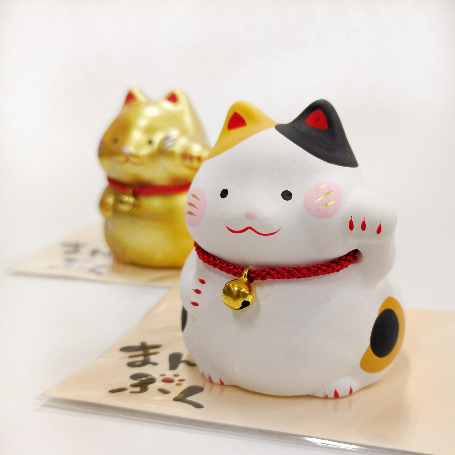 2／22は猫の日｜織部｜ショップニュース｜ゆめタウン徳島｜イズミ