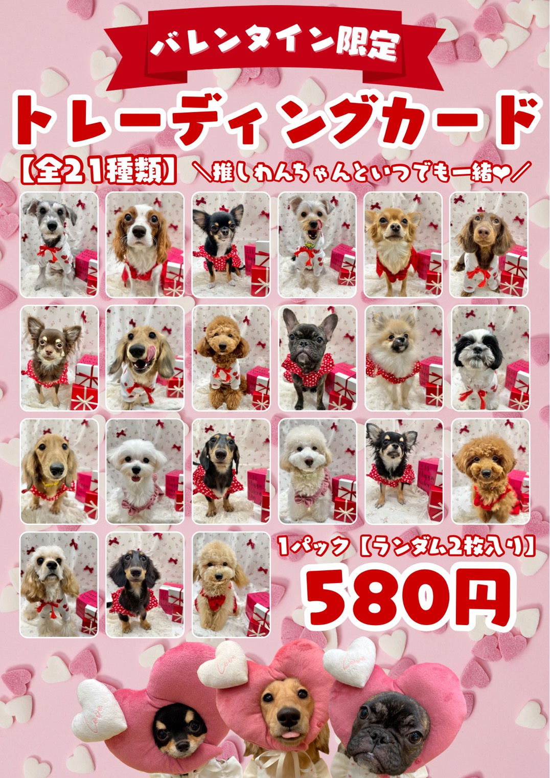 ◎バレンタイン限定◎ かわいいトレーディングカード 好評発売中