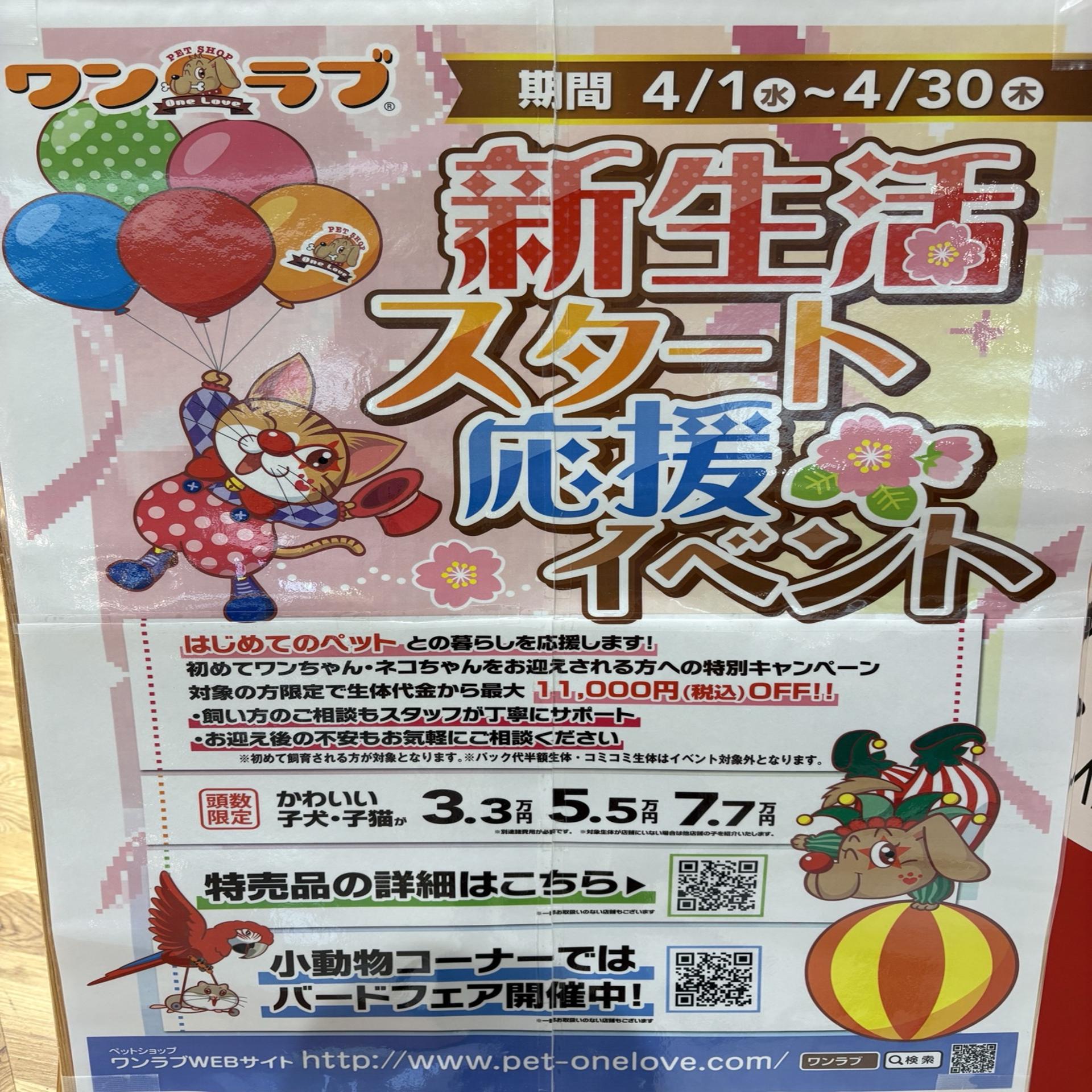 絶賛捨て活中ページ① 新生活スタート応援イベント｜ワンラブ｜ショップニュース｜ゆめタウン