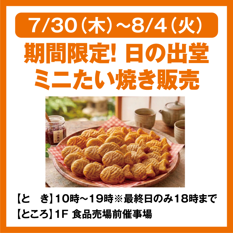 DIMOO The Missing Day 日本限定品500体たい焼き DIMOO The Missing