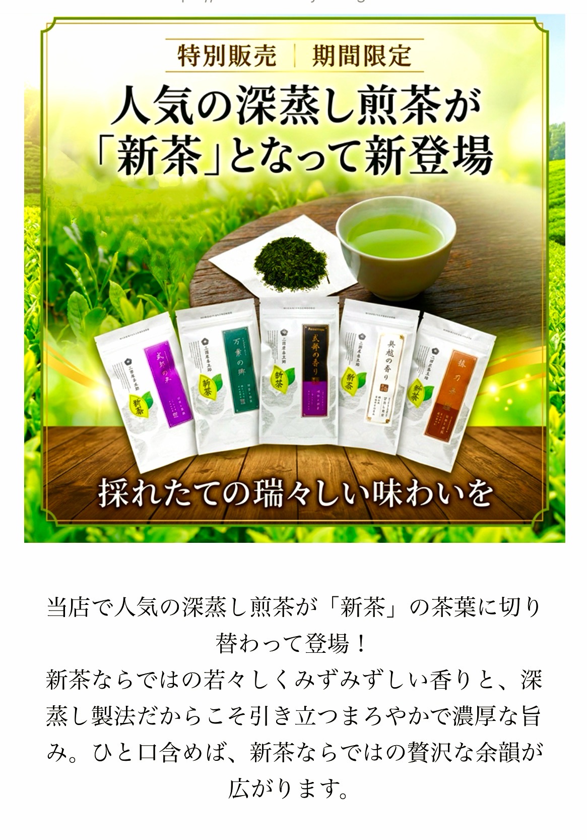 令和８年度新茶（id） 令和8年度新茶（id） 令和8年度新茶（id） 令和8年度