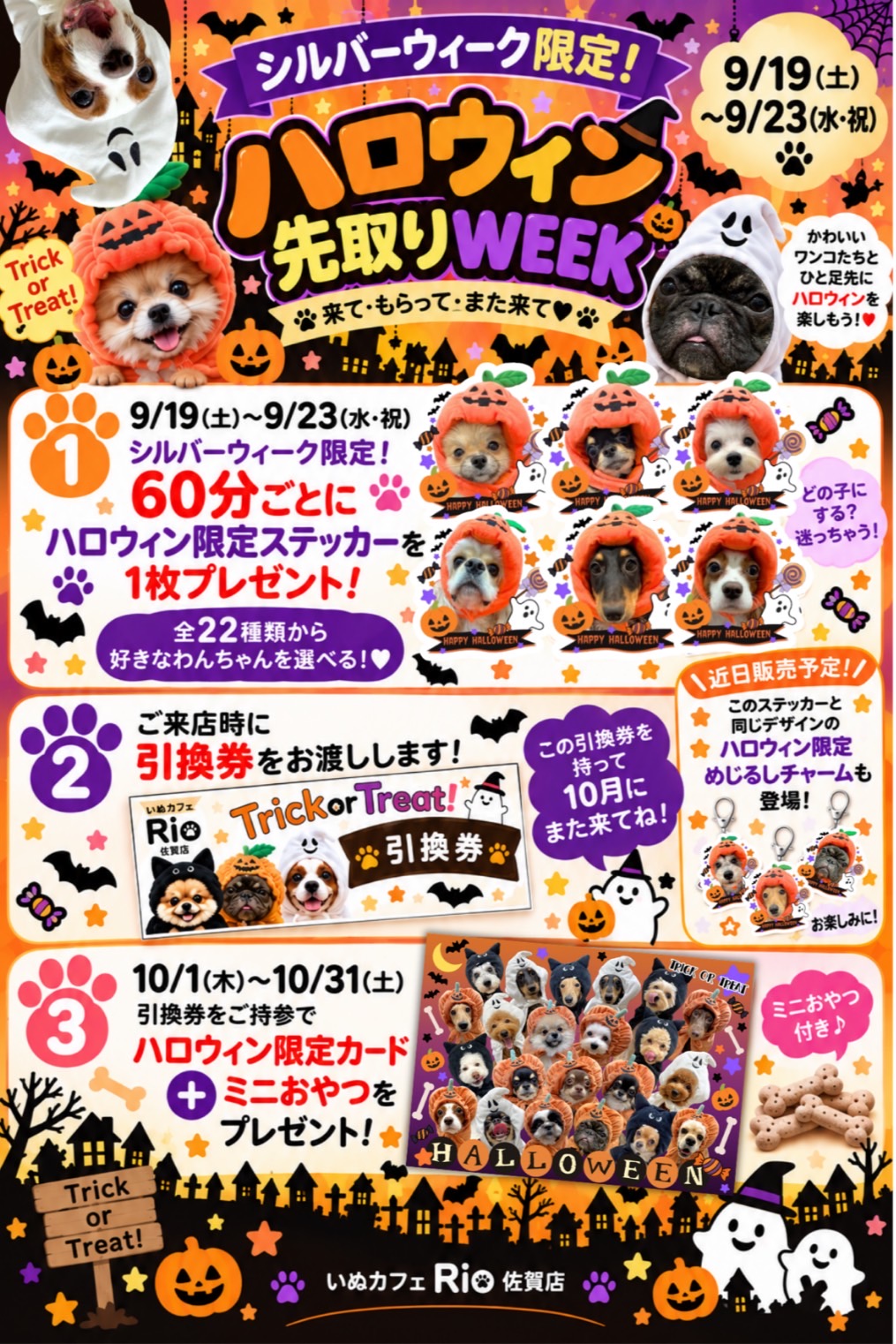 ☆ハロウィン先取りWEEK開催！ ☆｜いぬカフェRio佐賀店｜ショップ