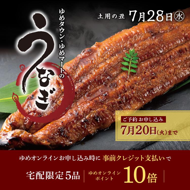 ゆめタウン光の森 イズミ ゆめタウン公式サイト 熊本県菊池郡 菊陽町