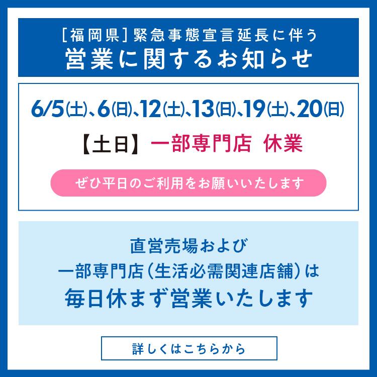 https www izumi jp tenpo onga