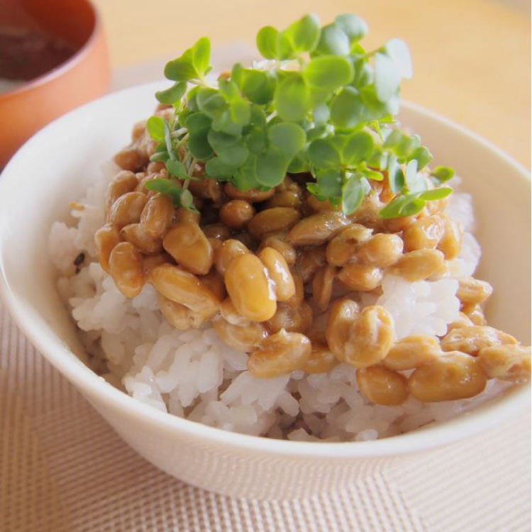 納豆スプラウトご飯
