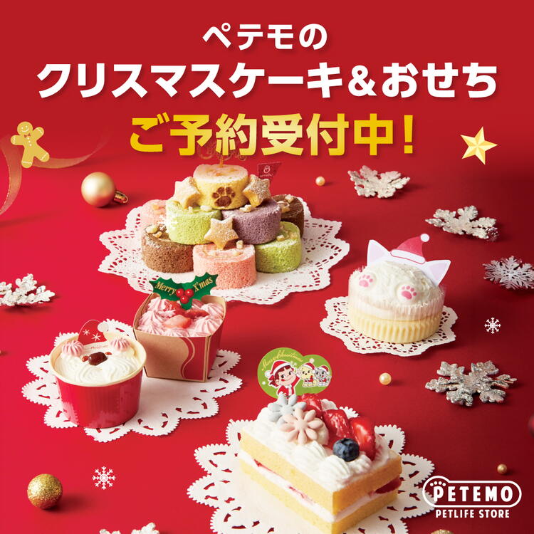 ペテモのクリスマス