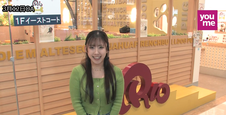 「ゆめさがプラス　いぬカフェＲｉｏ　3月12日(木)放送」