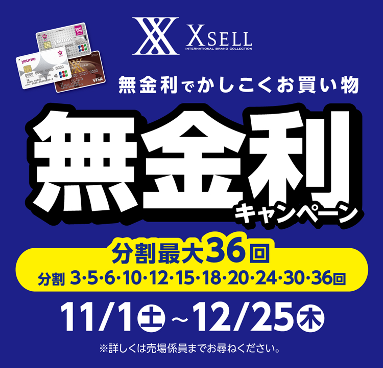 エクセル　11月1日(土曜日)～12月25日(木曜日)　無金利キャンペーンの画像