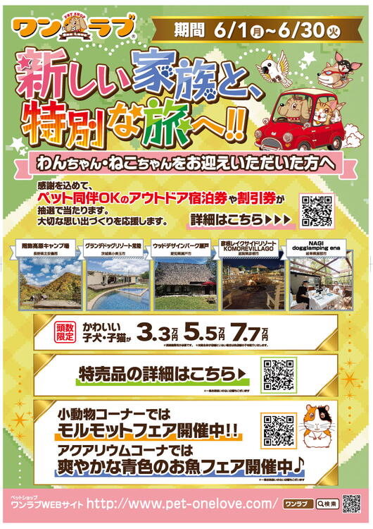 新しい家族と、特別な旅へ!!