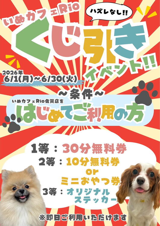 ご新規様限定くじ引きイベント】｜いぬカフェRio佐賀店｜ショップ