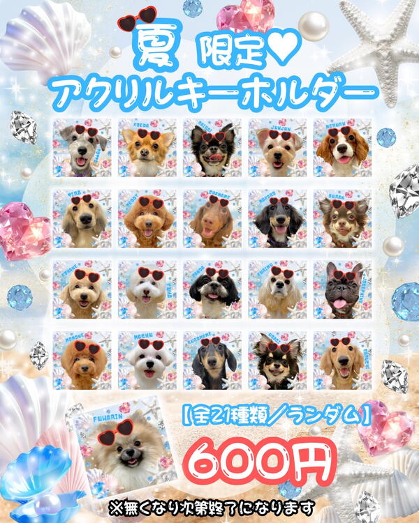 ﾟ夏限定グッズ販売中*.+ﾟ｜いぬカフェRio佐賀店｜ショップニュース