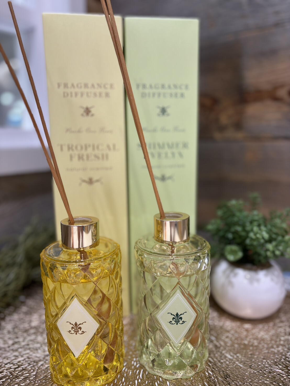 フレグランスディフューザー｜コスタコート｜ショップニュース