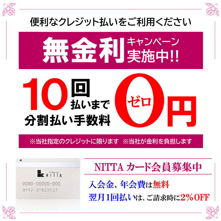 ニッタ　クレジット10回無金利キャンペーンの画像