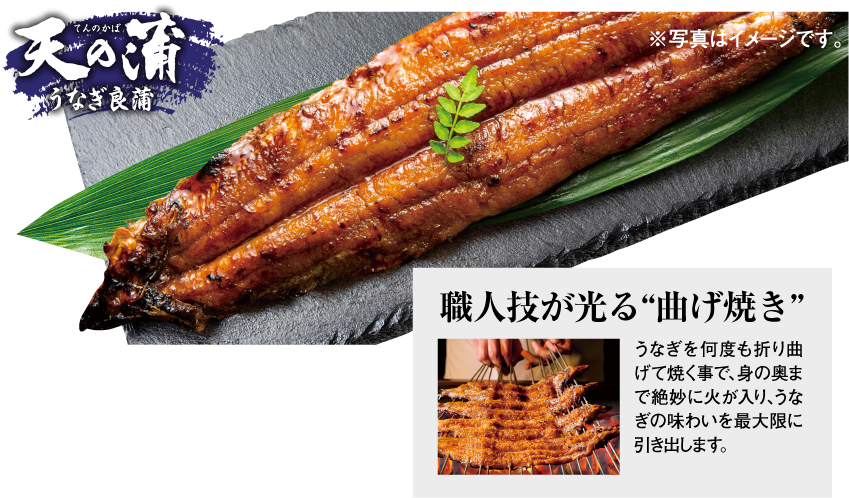 九州産 職人手焼き炭火 天の蒲 うなぎ良蒲